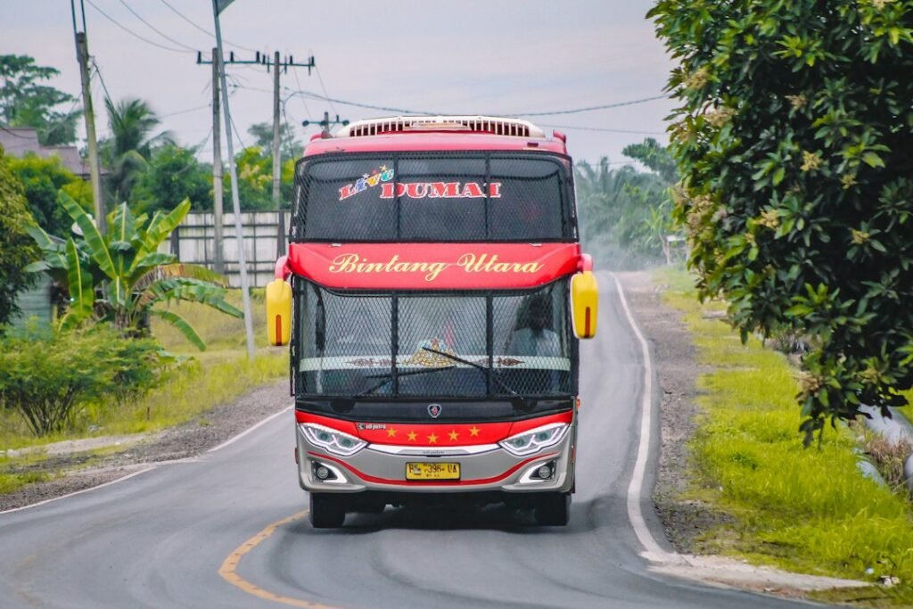 Colorful bus for Bus Simulator Indonesia download guide