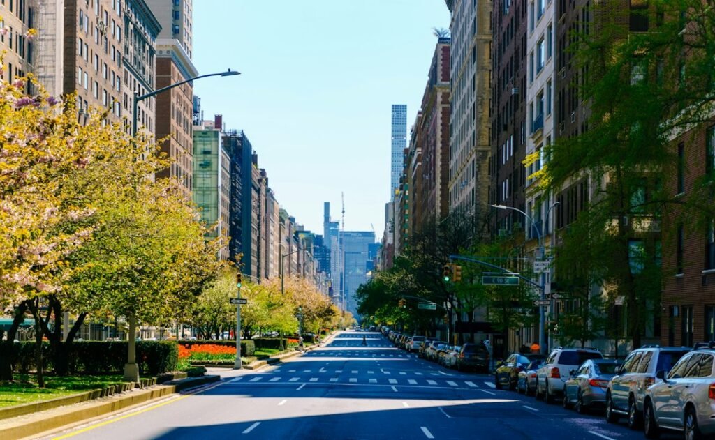 City street with parked cars illustrating a driving simulation